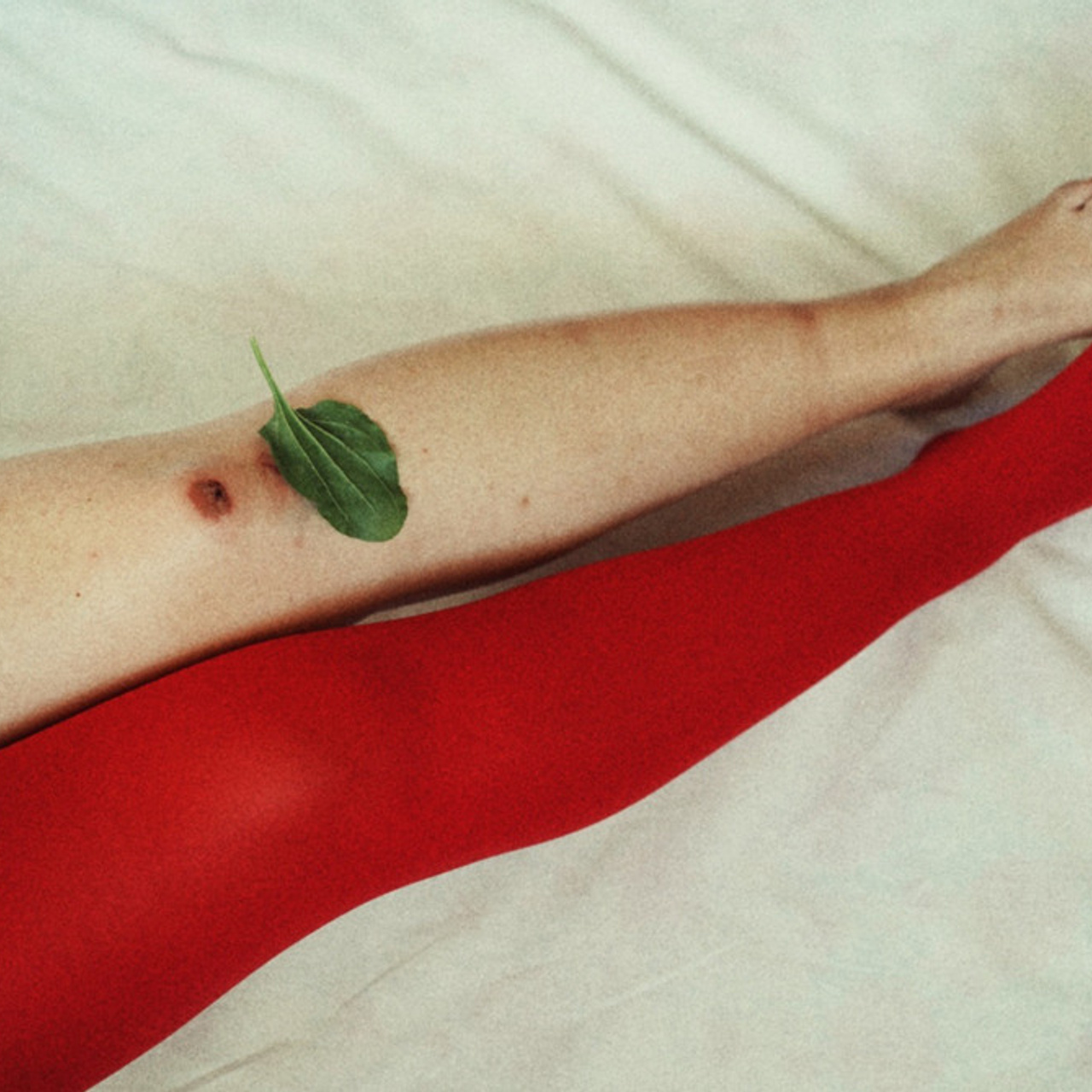 Трансформация. Фотограф Ольга Кардашова