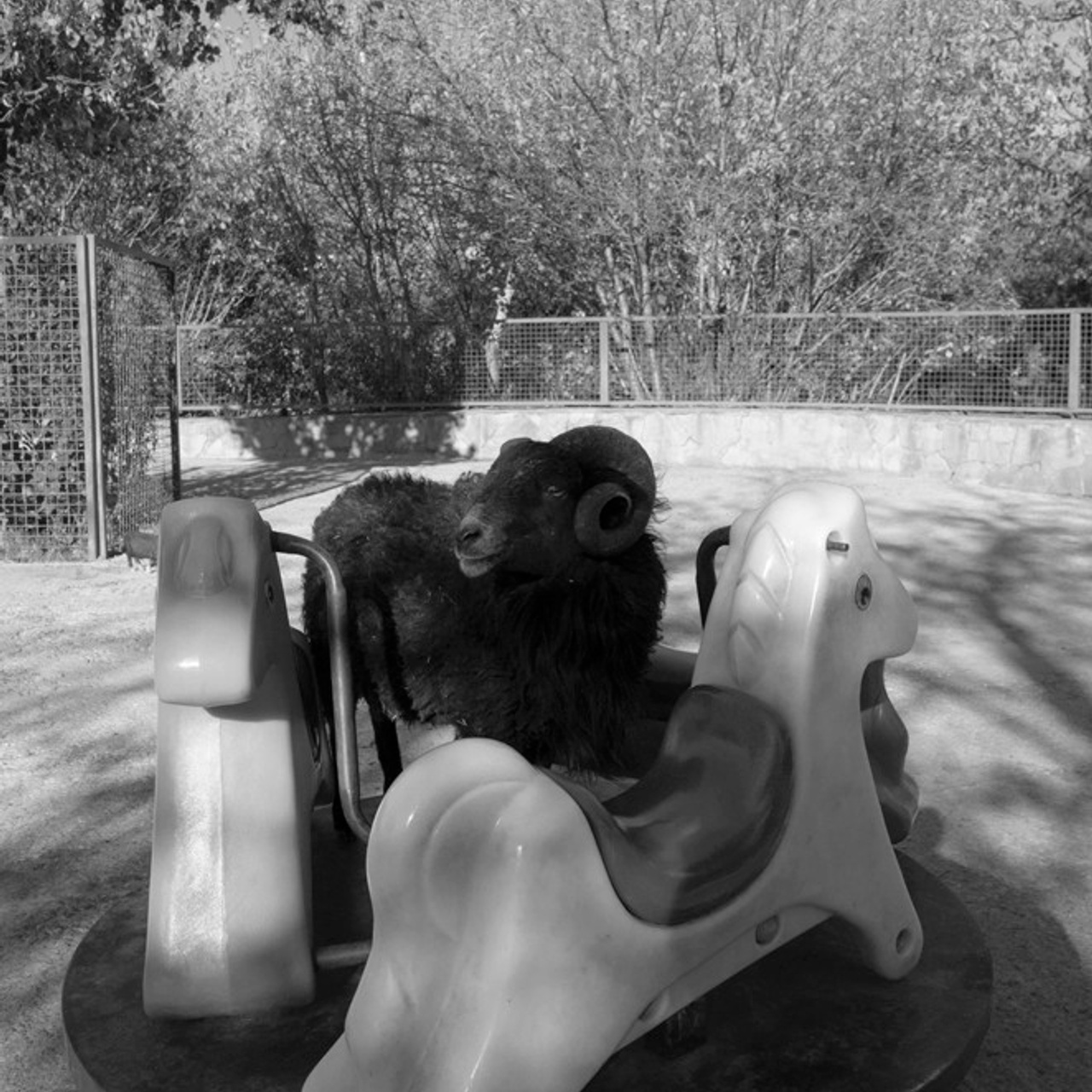 Трансформация. Фотограф Ольга Кардашова