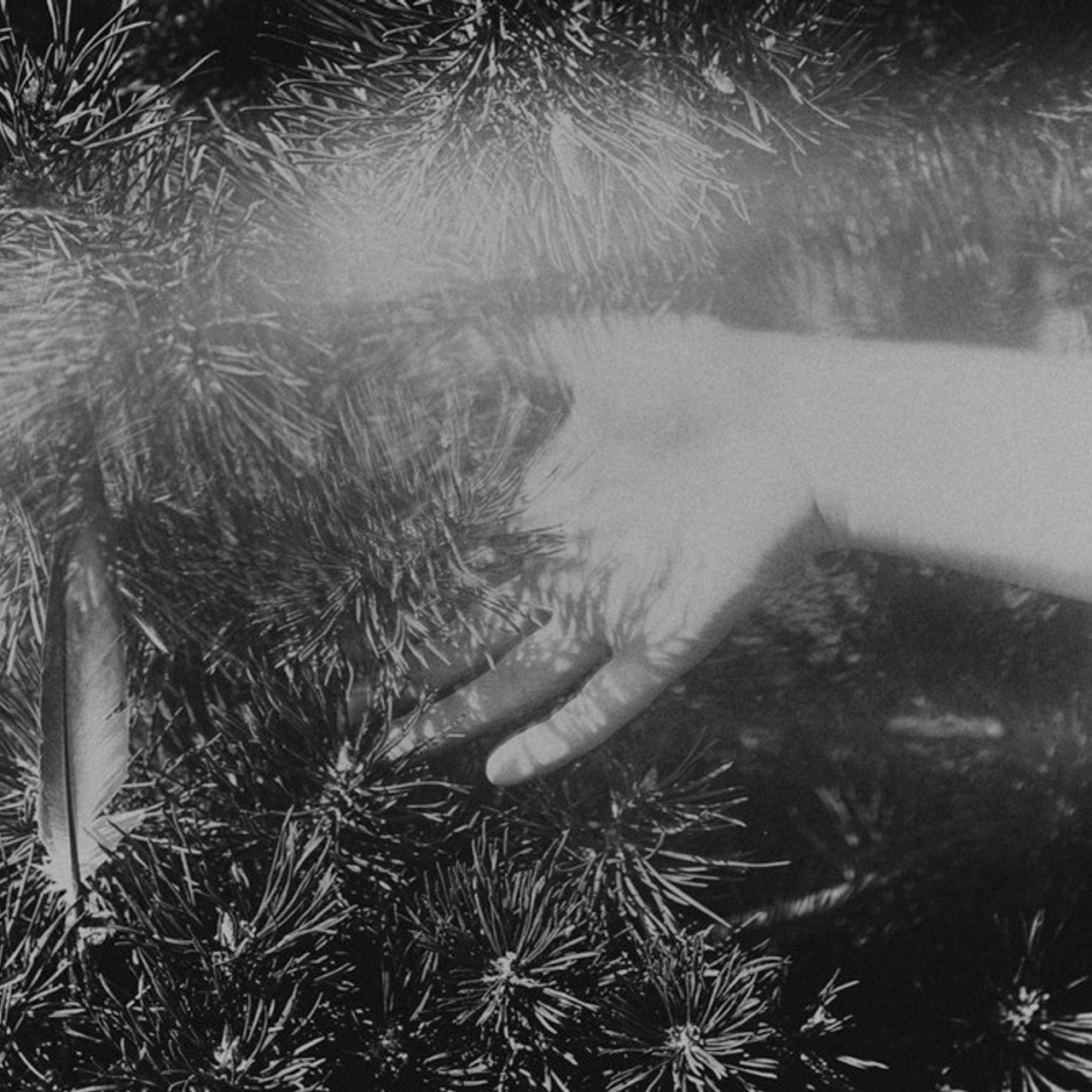 Трансформация. Фотограф Ольга Кардашова