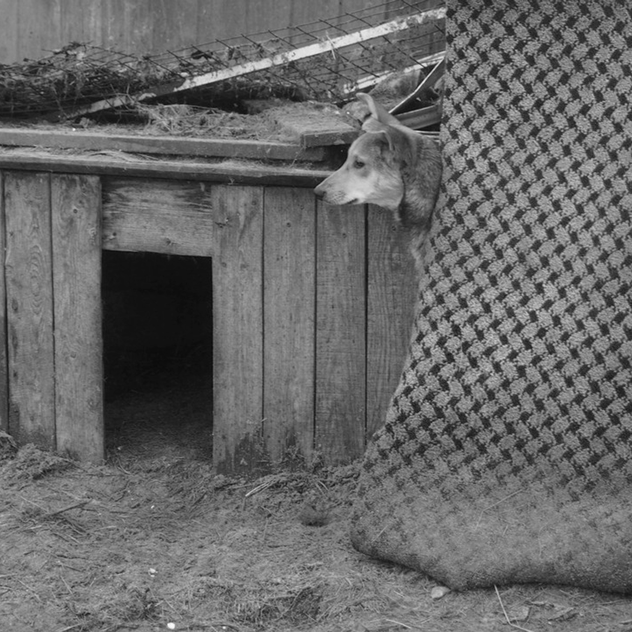 Трансформация. Фотограф Ольга Кардашова