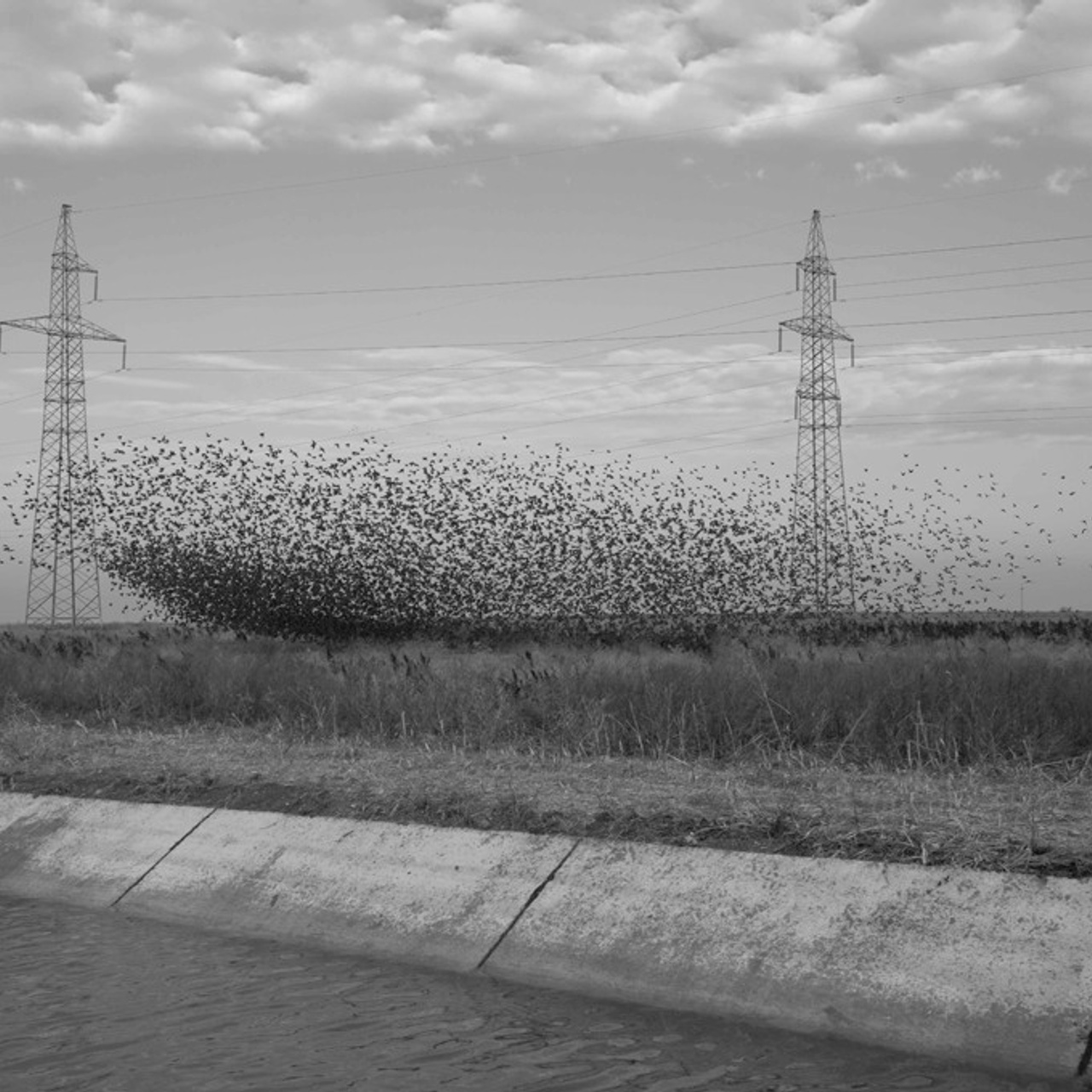 Трансформация. Фотограф Ольга Кардашова