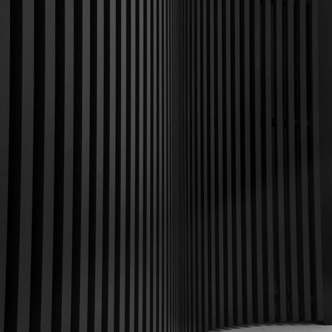 Трансформация. Фотограф Ольга Кардашова