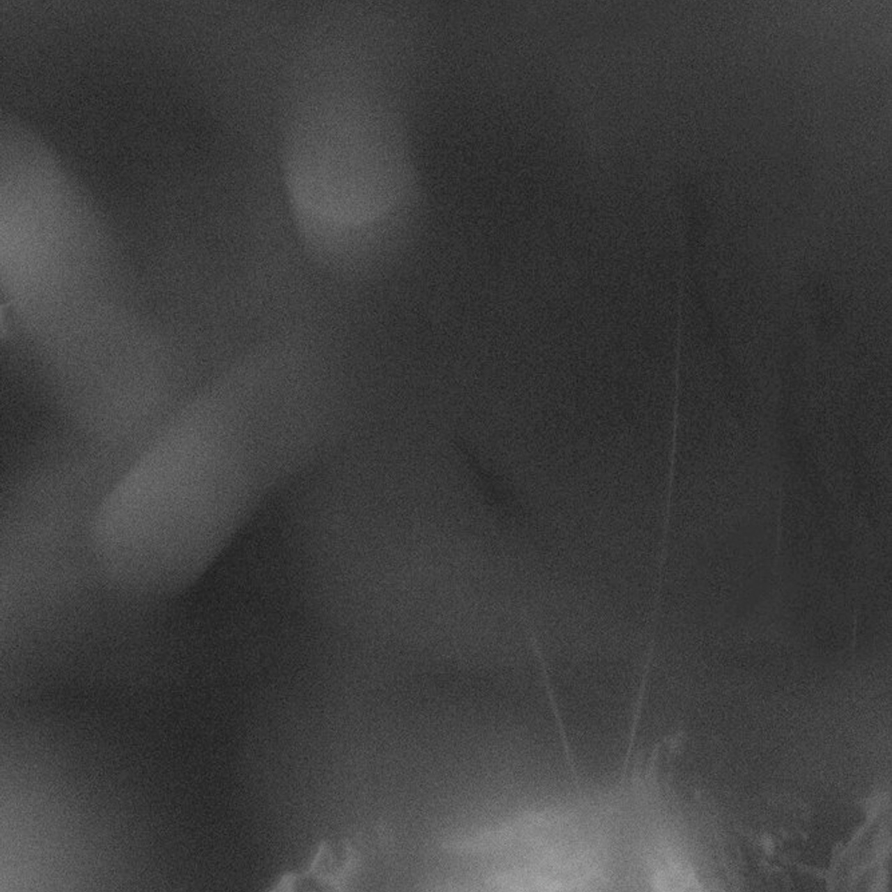 Трансформация. Фотограф Ольга Кардашова