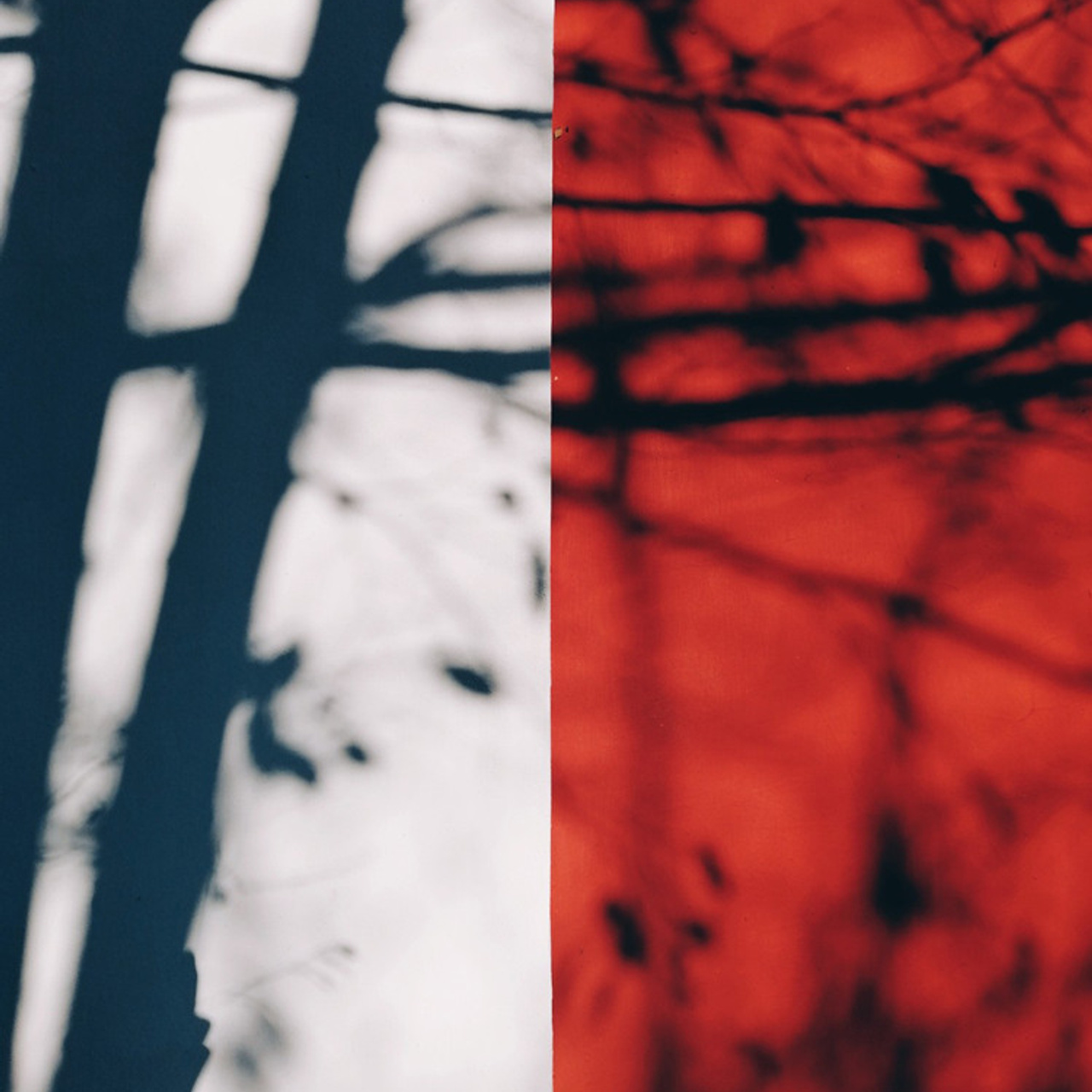 Трансформация. Фотограф Ольга Кардашова