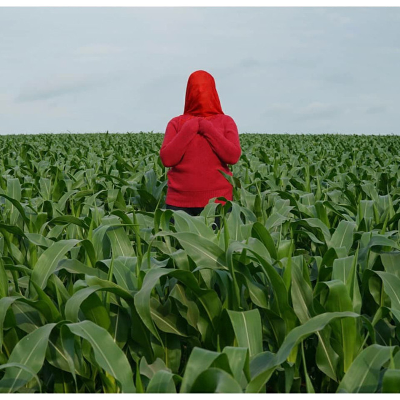 Трансформация. Фотограф Ольга Кардашова