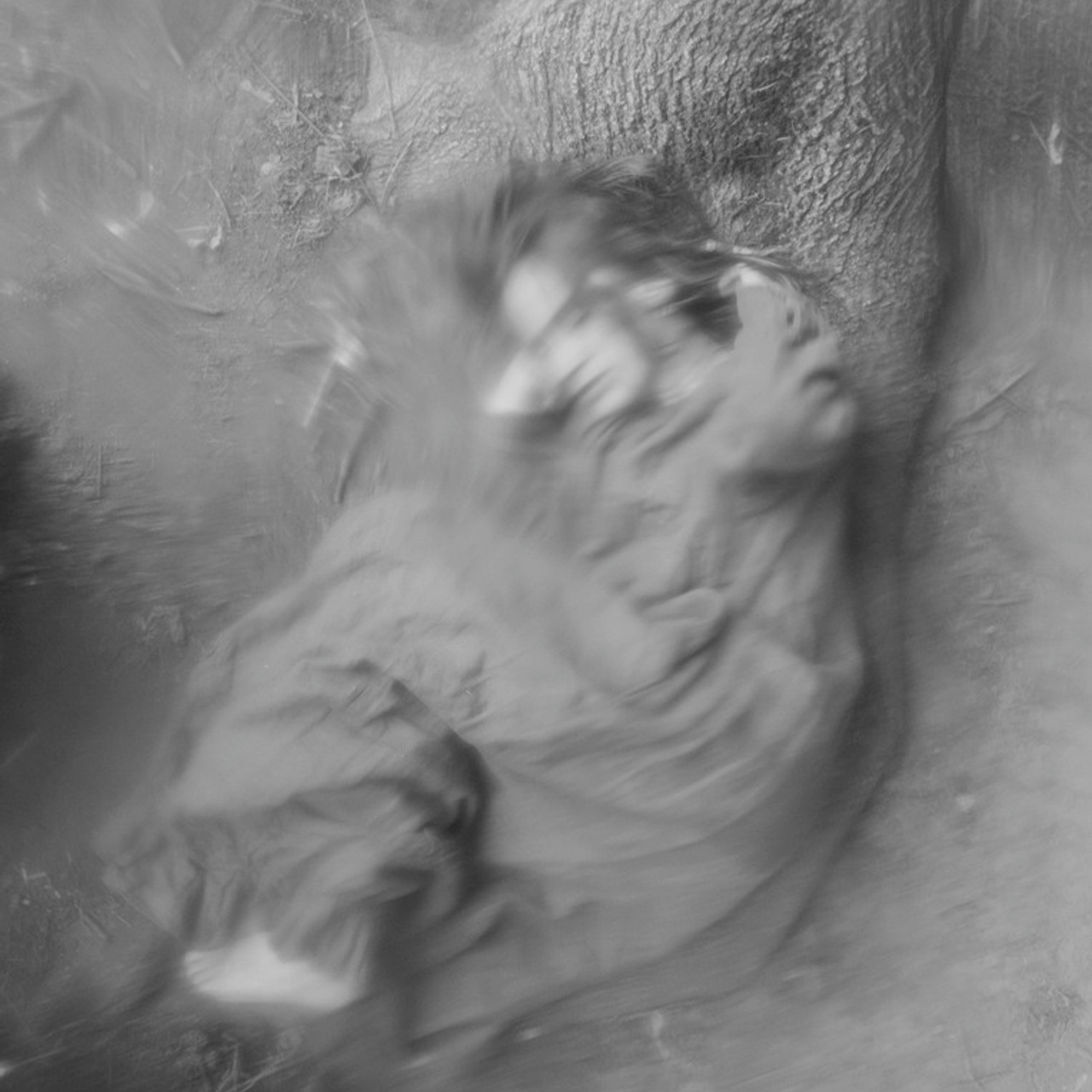 Трансформация. Фотограф Ольга Кардашова