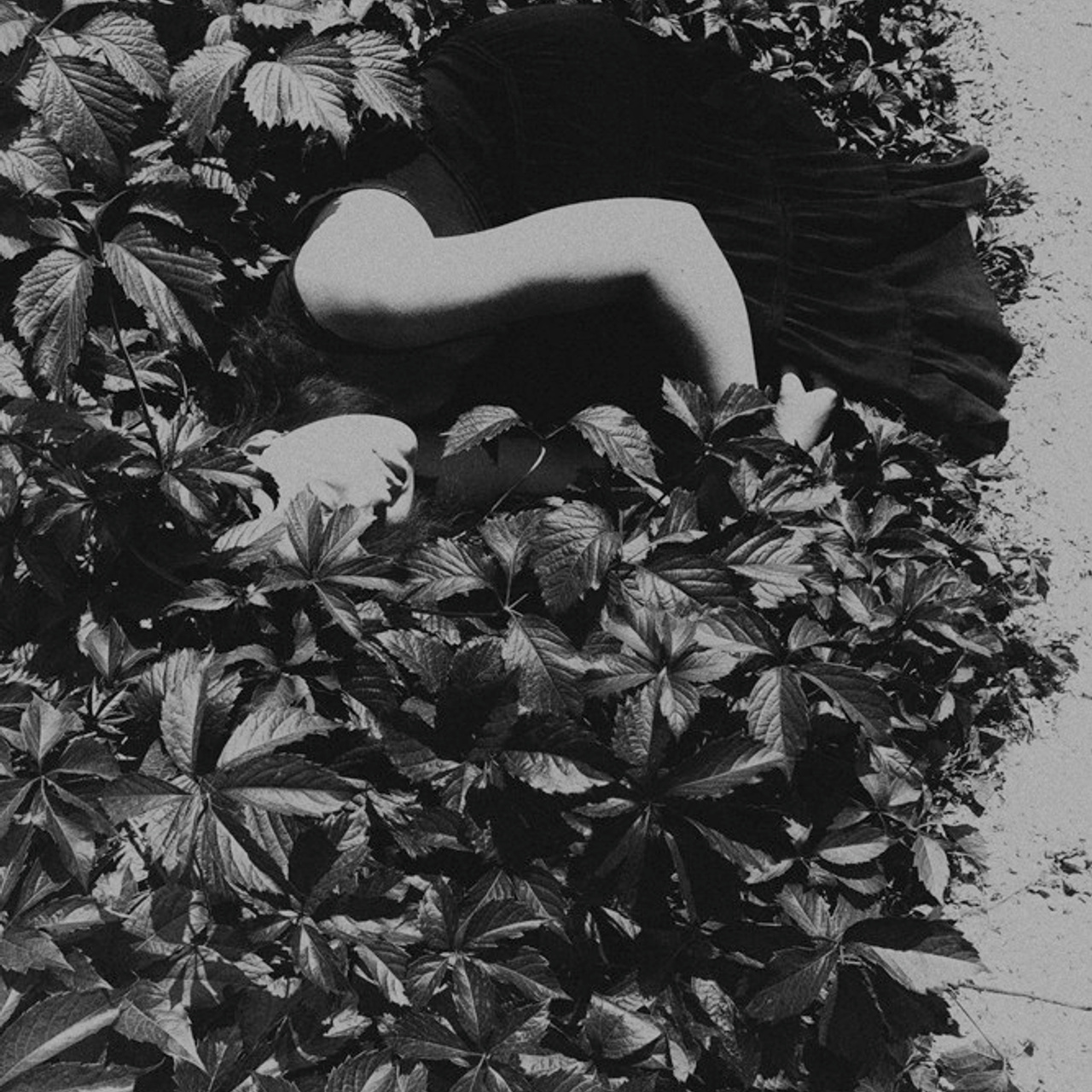 Трансформация. Фотограф Ольга Кардашова