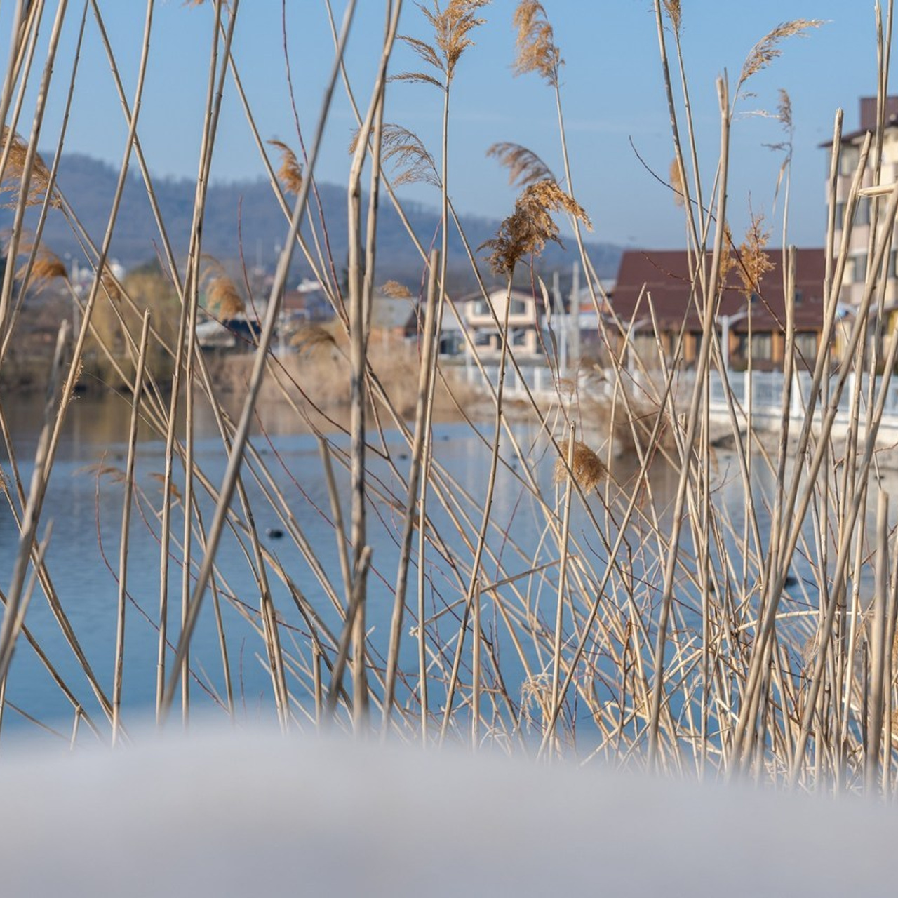 Отзывы. Предметный фотограф в Горячем Ключе Вера Швец