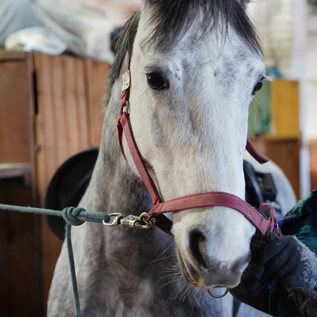 Отзывы. Gan media. Свадебные видео и фото в Барнауле. Антон Губанов