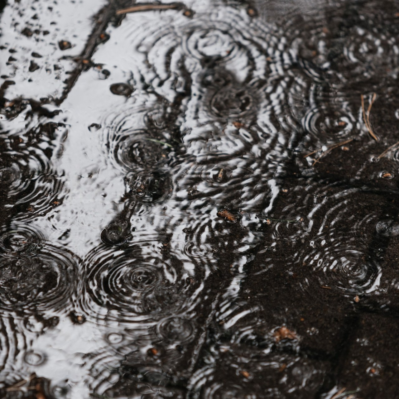 Отзывы. Gan media. Свадебные видео и фото в Барнауле. Антон Губанов