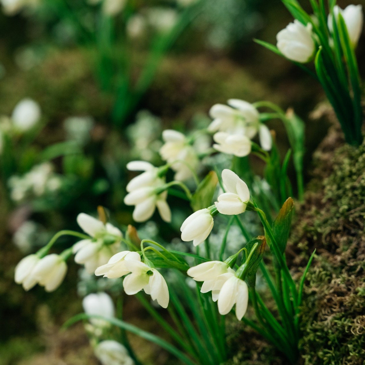 Отзывы. Gan media. Свадебные видео и фото в Барнауле. Антон Губанов