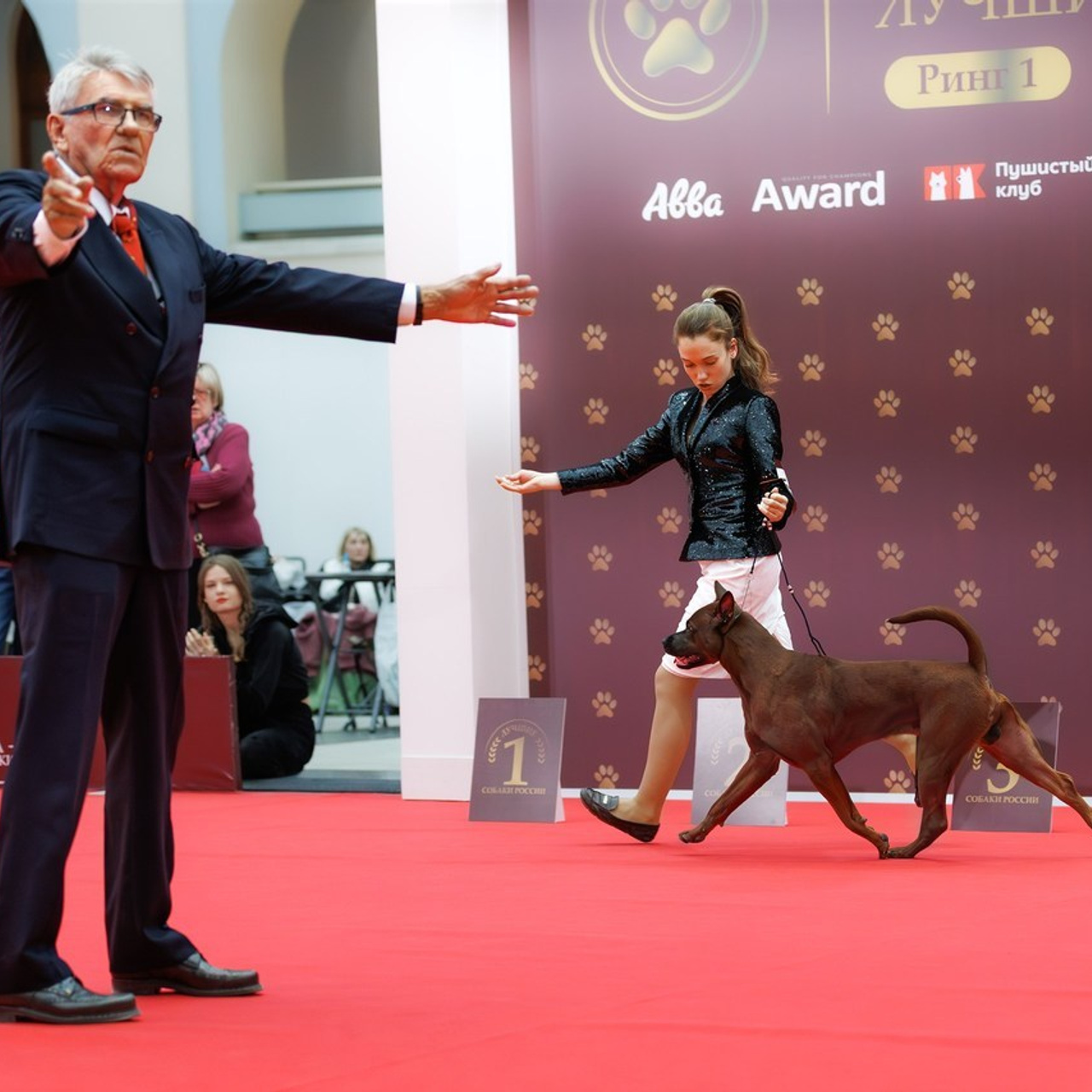 Отзывы. Фотограф-анималист в Калуге Мария Шерскова