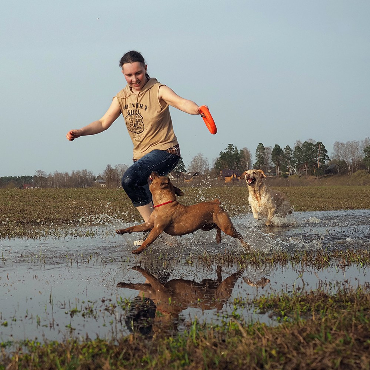 фотограф собак