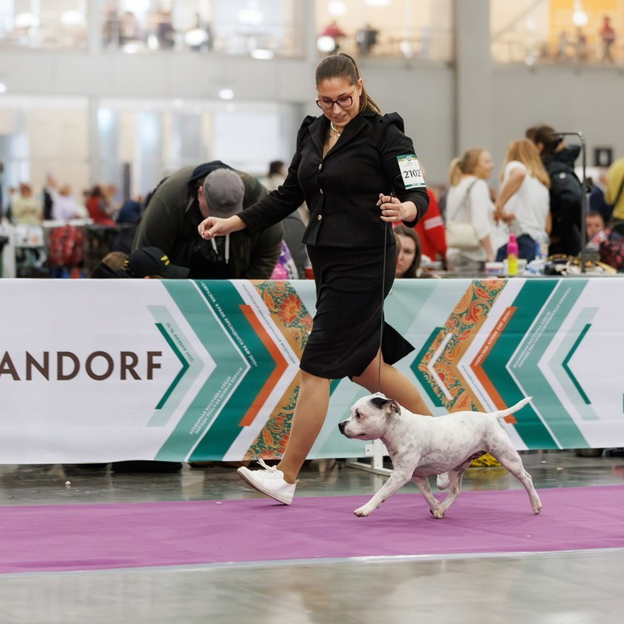 Отзывы. Фотограф-анималист в Калуге Мария Шерскова