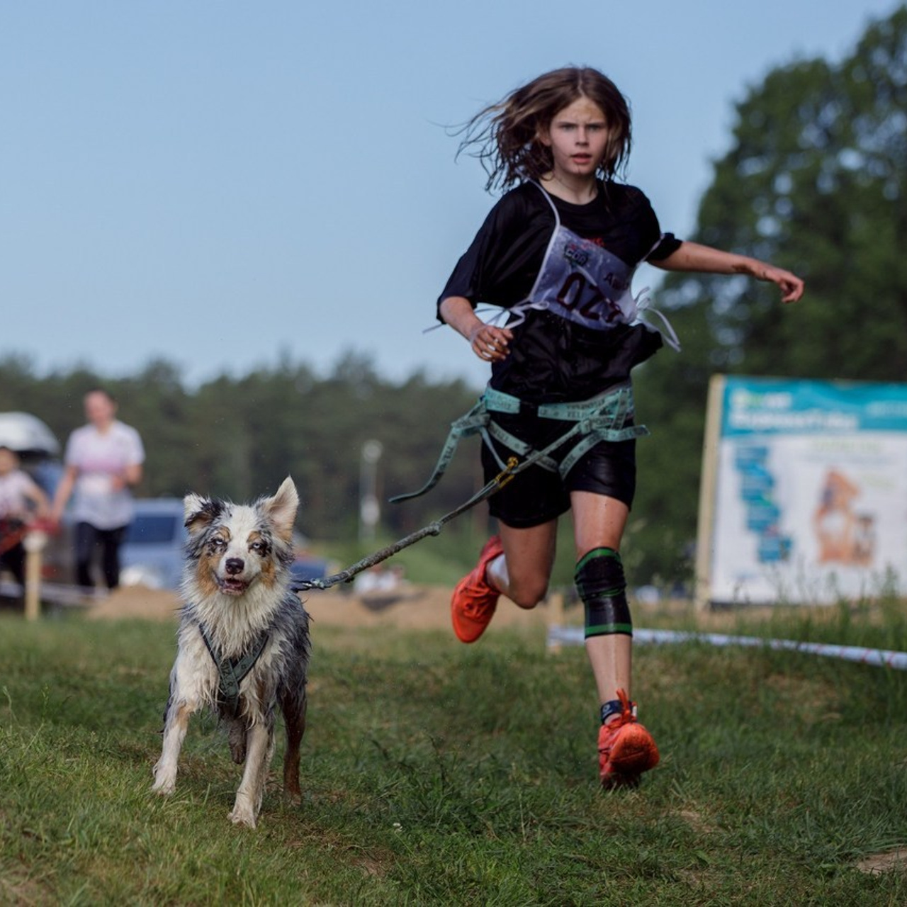 Отзывы. Фотограф-анималист в Калуге Мария Шерскова