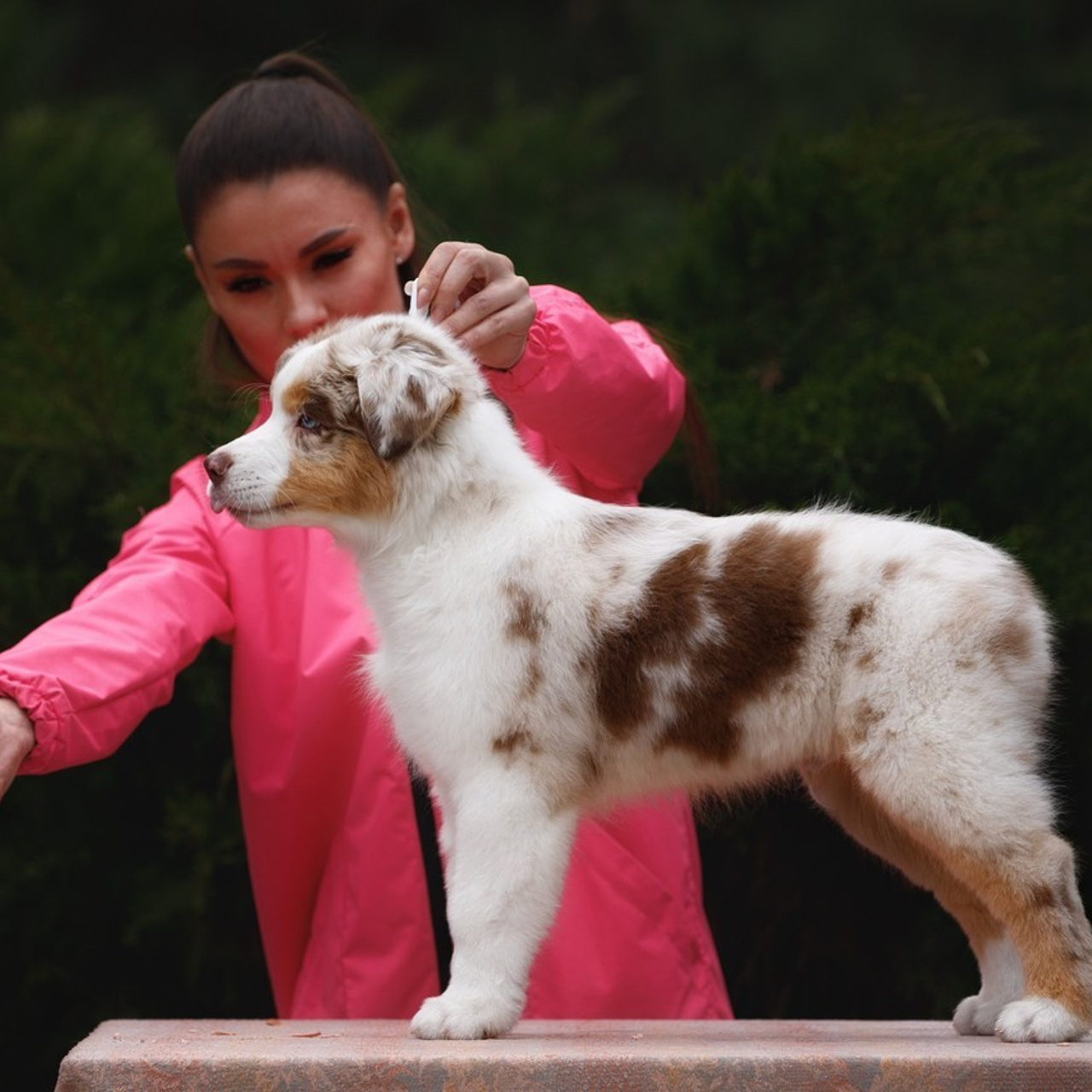 Отзывы. Фотограф-анималист в Калуге Мария Шерскова