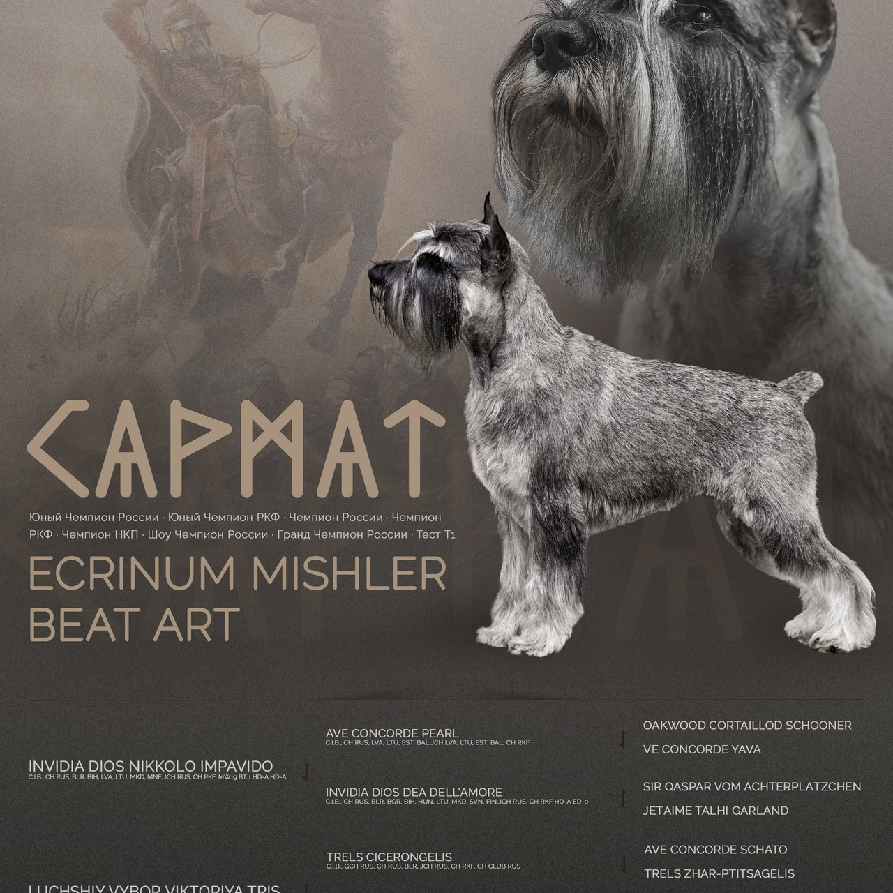 Отзывы. Фотограф-анималист в Калуге Мария Шерскова