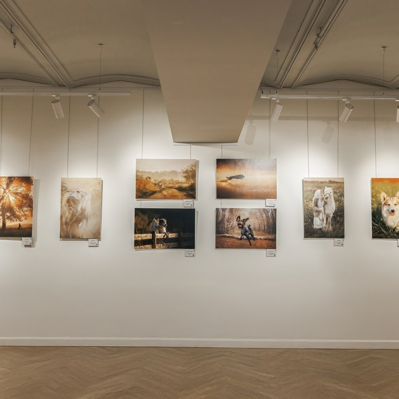 Отзывы. Фотограф-анималист в Калуге Мария Шерскова