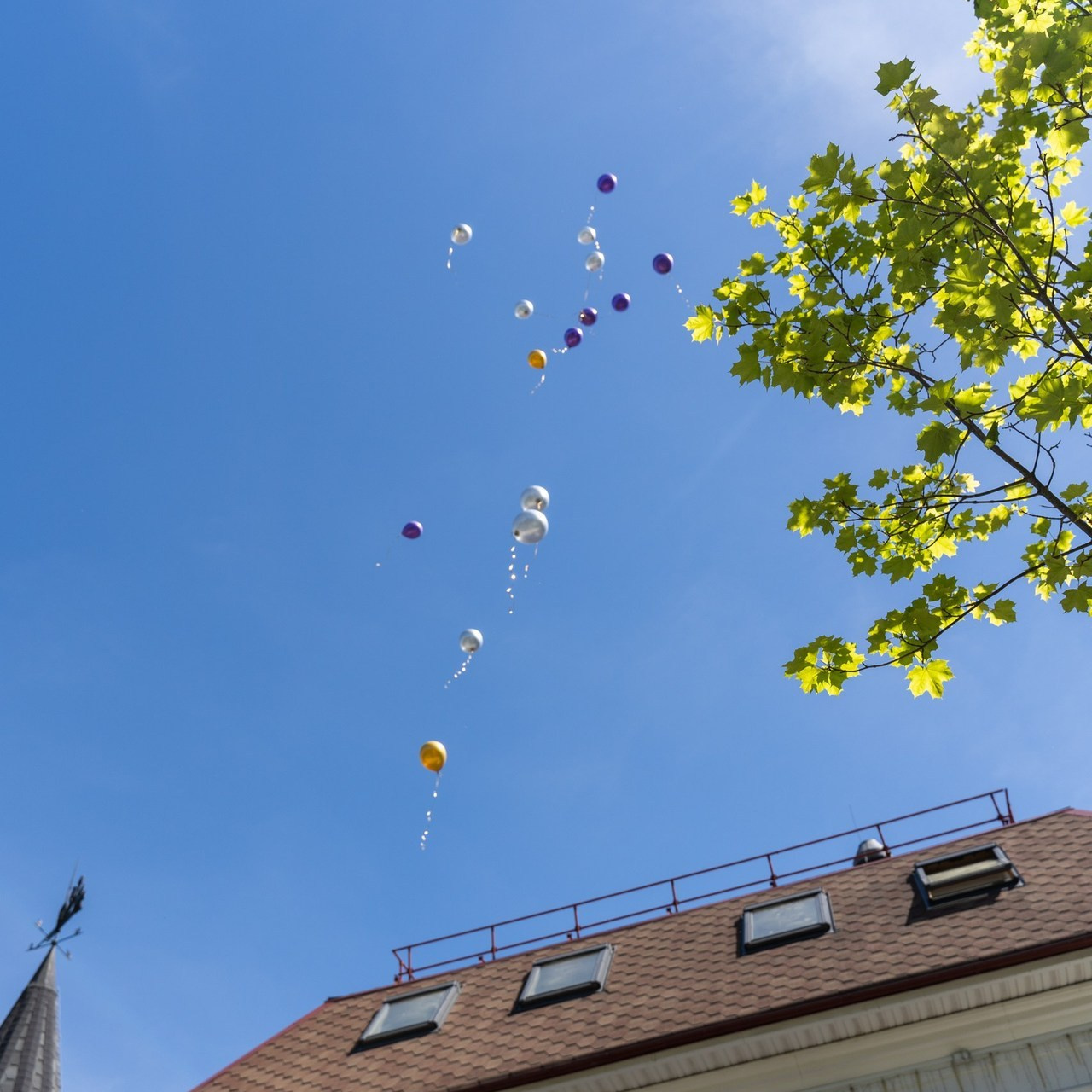 Корпоративный фотограф в Москве и Дубае. Фотограф и видеограф в Москве и Абу Даби Мария Кулагина