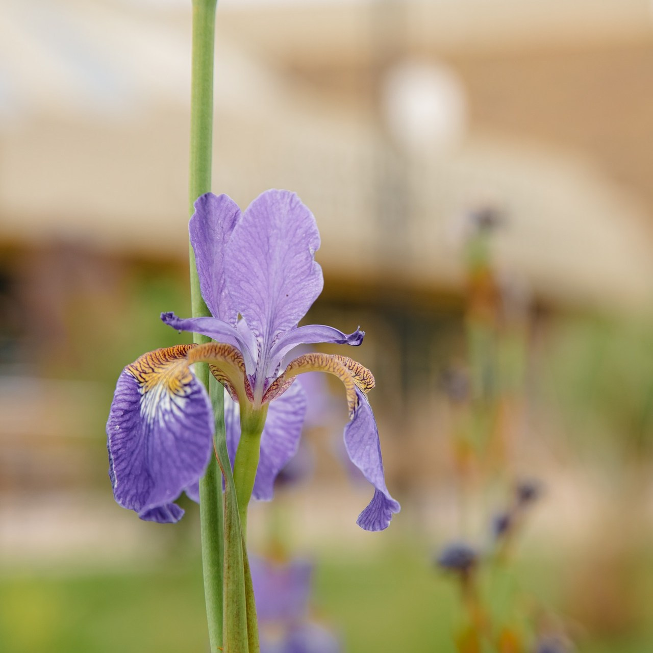 Отзывы. Коммерческий фотограф, ретушёр Анастасия Пачина