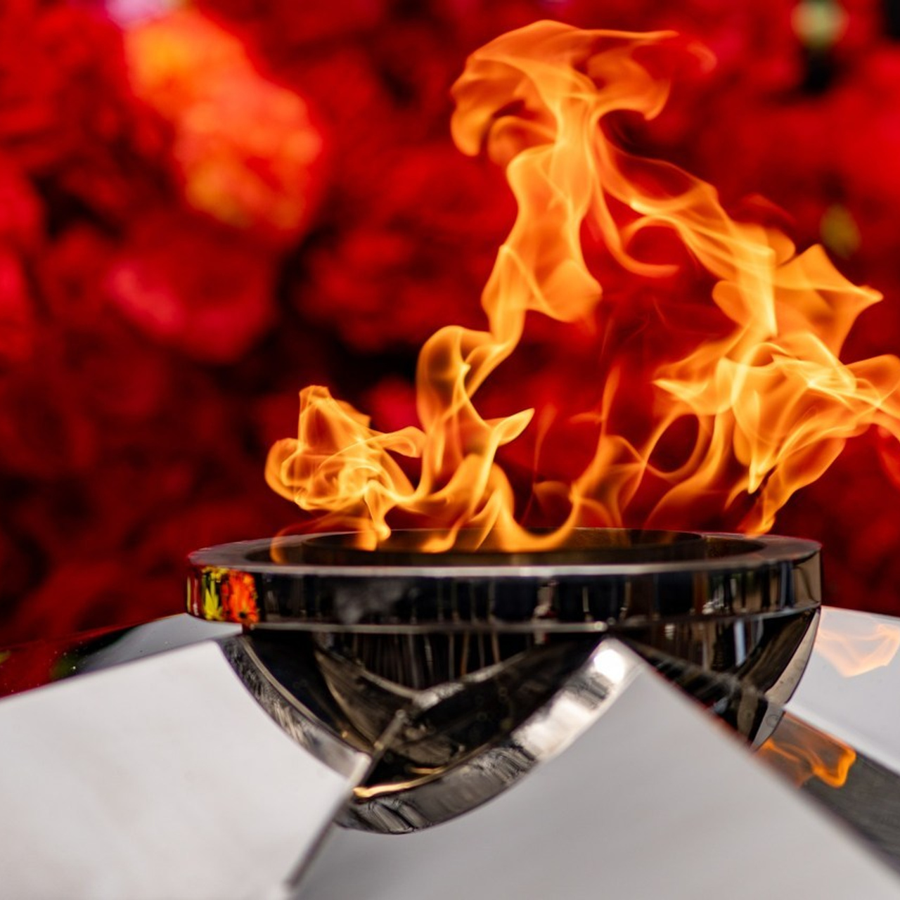 Отзывы. Фото-видео студия Владимира Разумова RazumovFilms