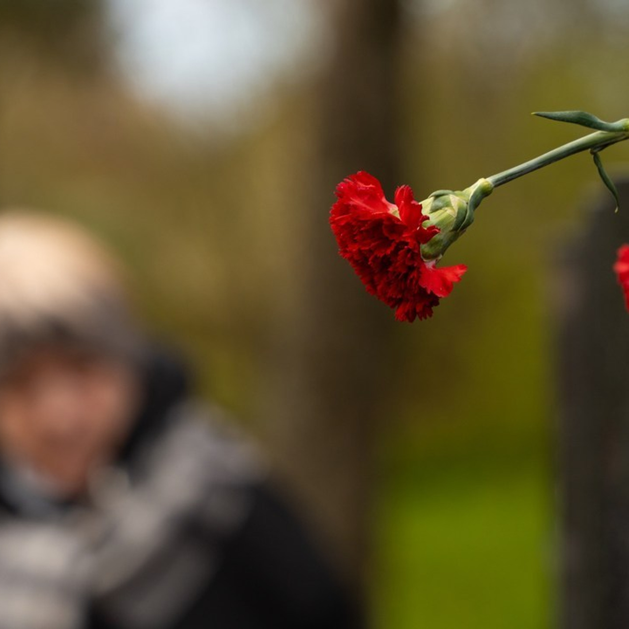 Отзывы. Фото-видео студия Владимира Разумова RazumovFilms