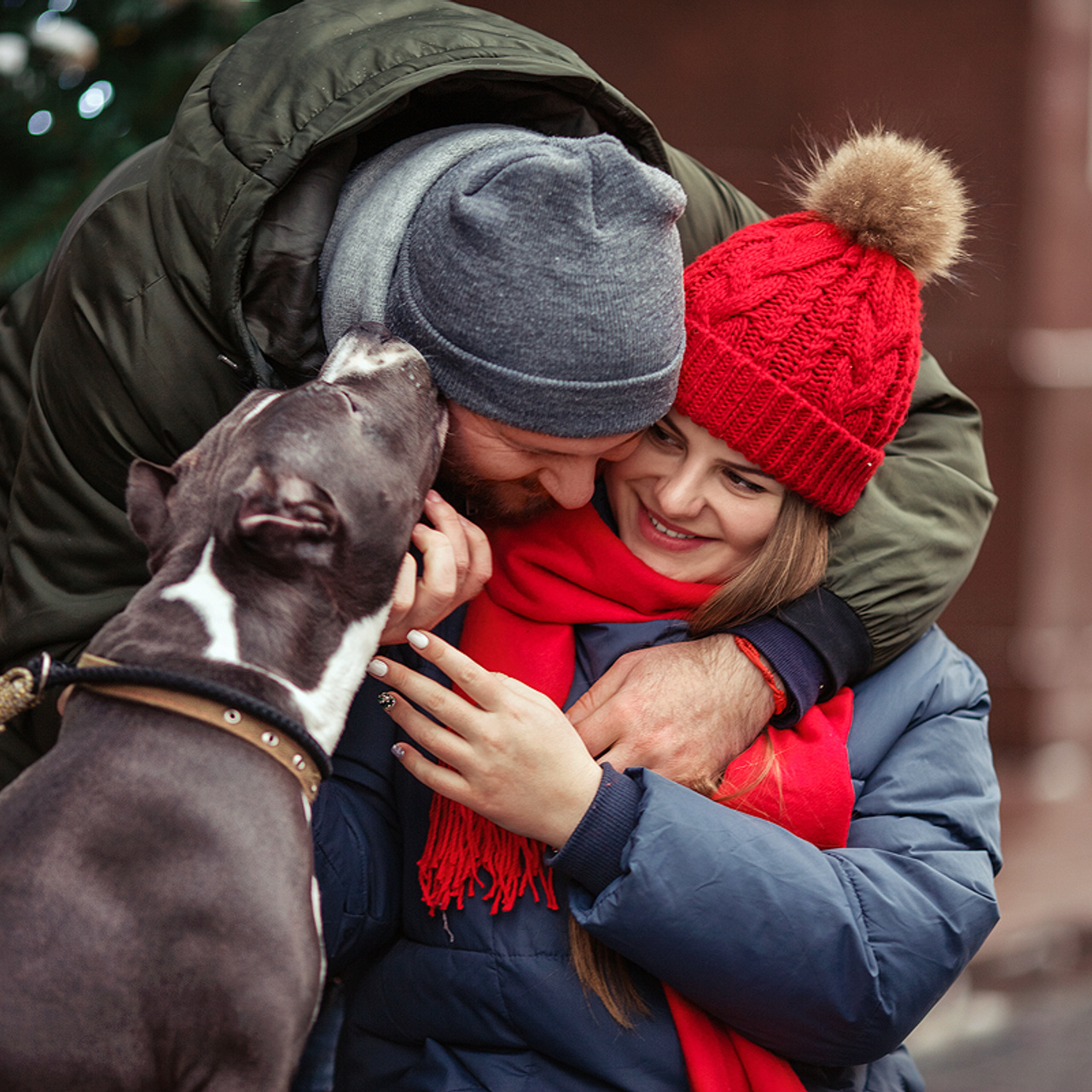 Рождественская история Лизы и Дениса