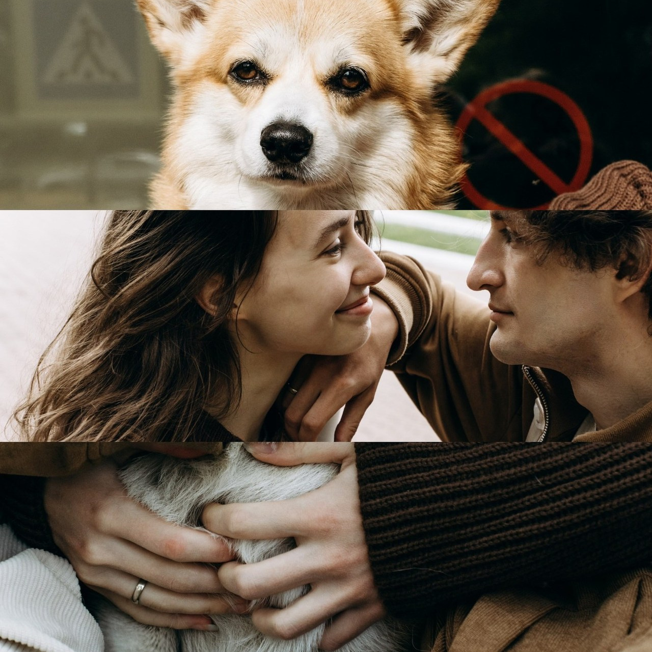 Отзывы. Свадебный фотограф