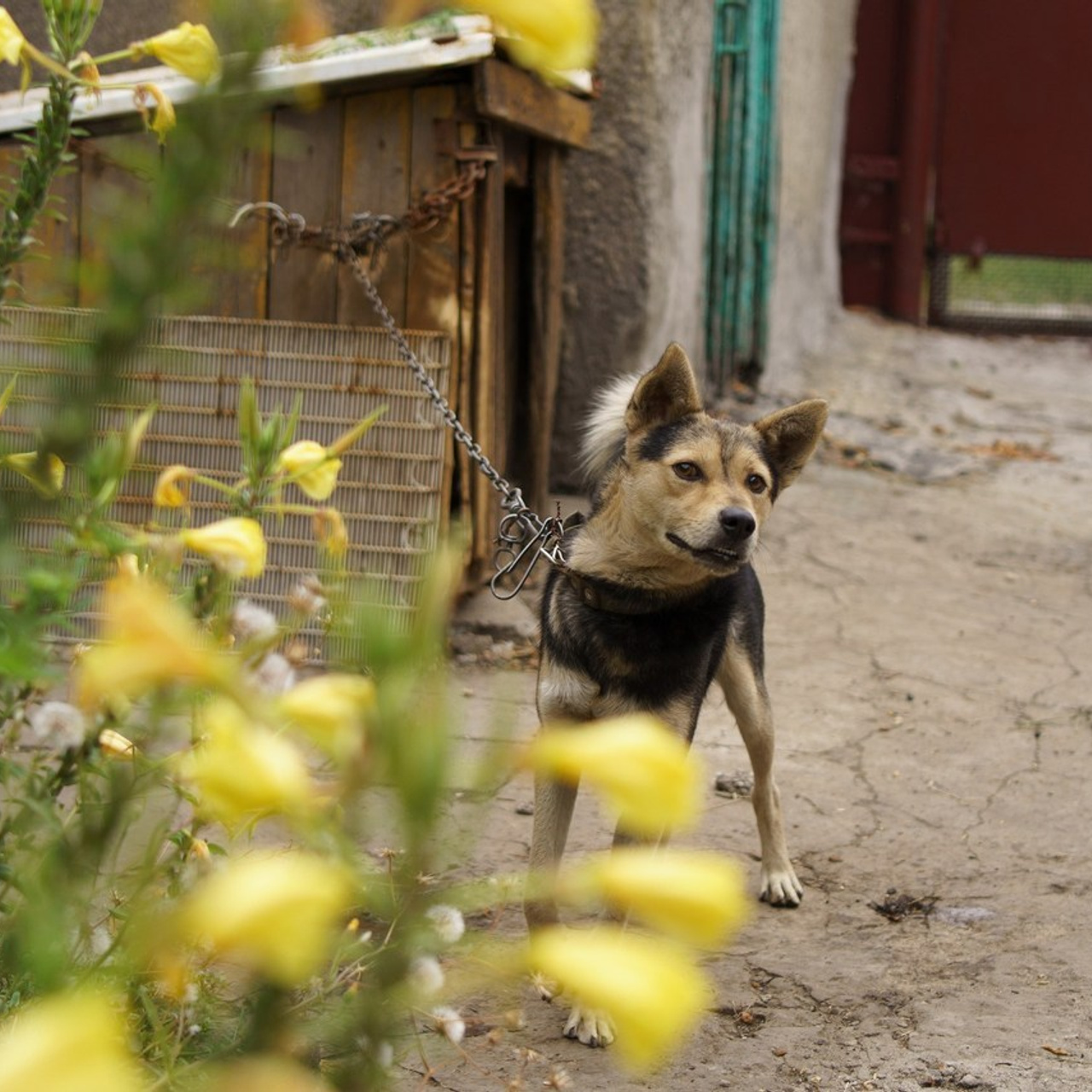 Отзывы. Фотограф Анна Воленщак Торез/Донецк