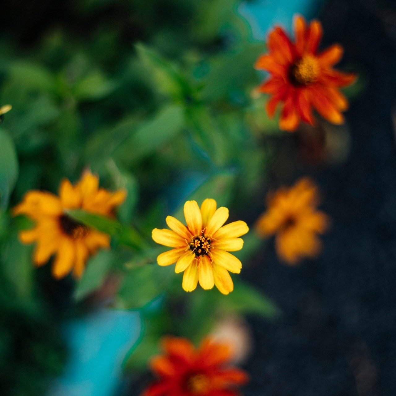 Отзывы. Фотограф в Алматы Виктор Магдеев