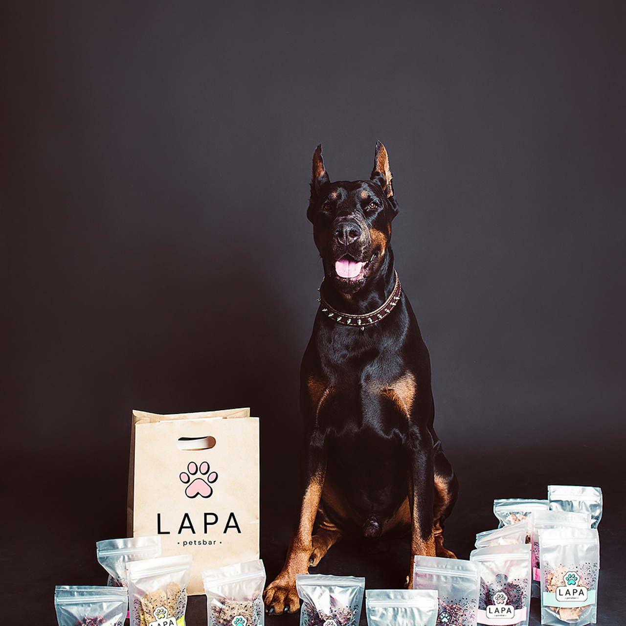 Lapa_petsbar. doberman