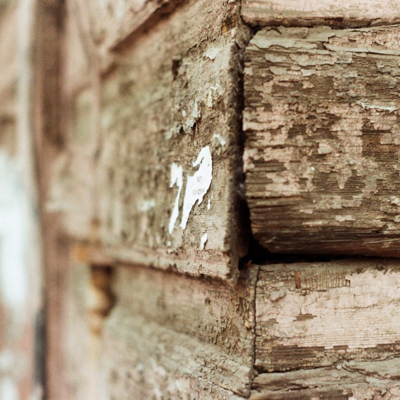 Отзывы. Егор Фотобрат — Портретный фотограф теперь в Ташкенте