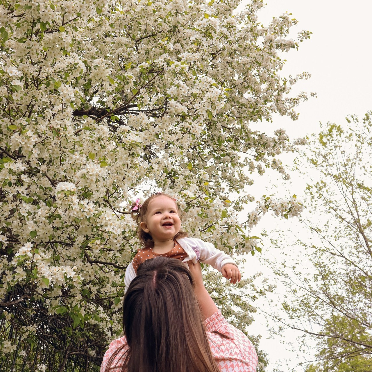 Отзывы. Свадебный и семейный фотограф Татьяна Нуякшева Новоалтайск — Барнаул