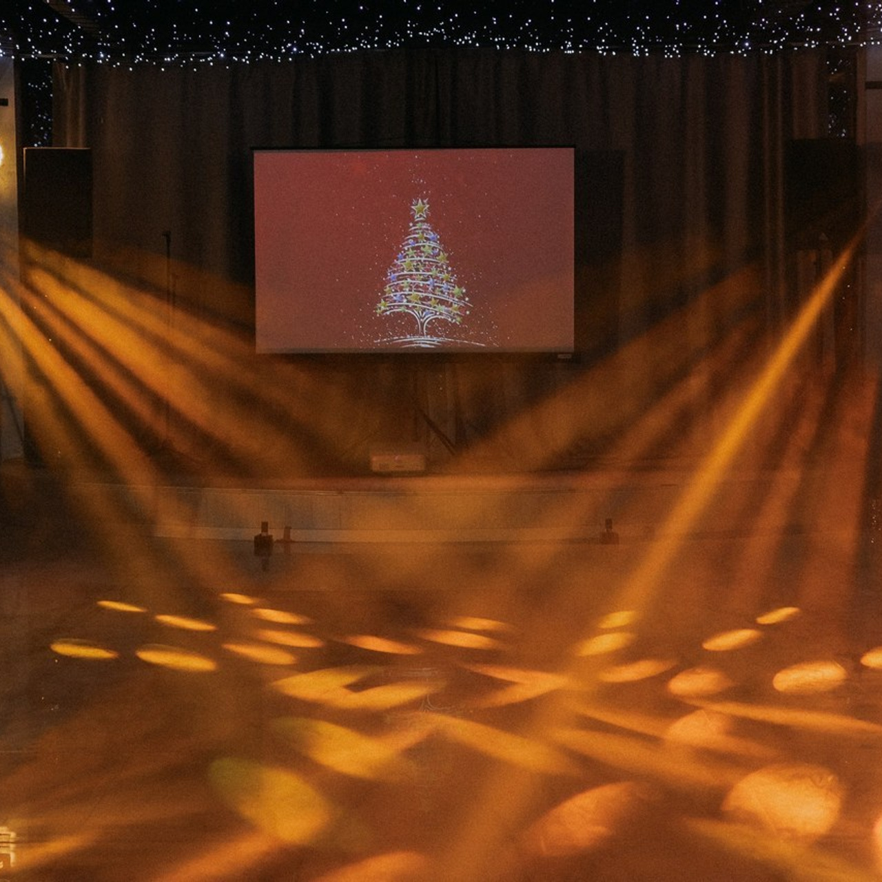 Отзывы. Свадебная фотография. Арина Рубах