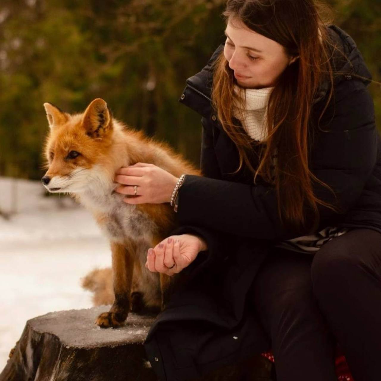 • Feedback. Cinematic presets video/photo, visual, content creator Lina Pleshakova