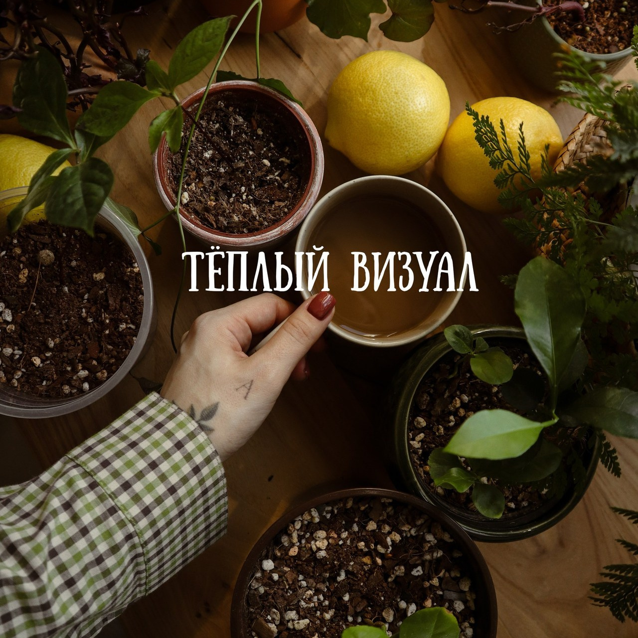 Отзывы. Кинематографичный фотограф, видеограф Лина Плешакова, Санкт-Петербург