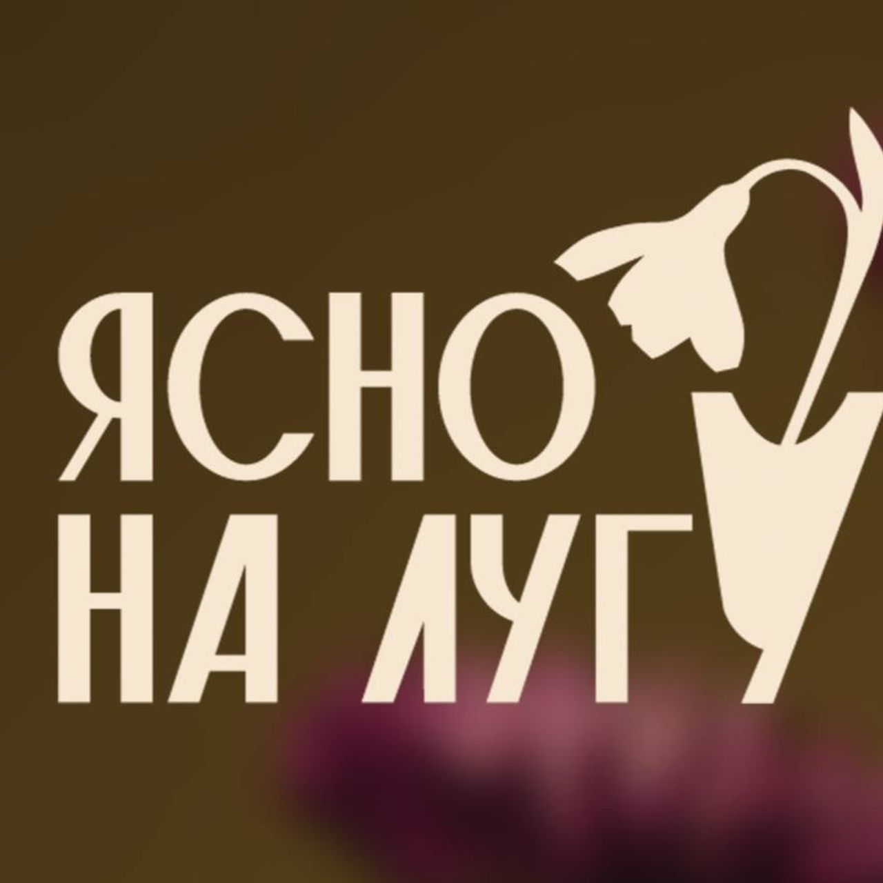 • Feedback. Cinematic presets video/photo, visual, content creator Lina Pleshakova