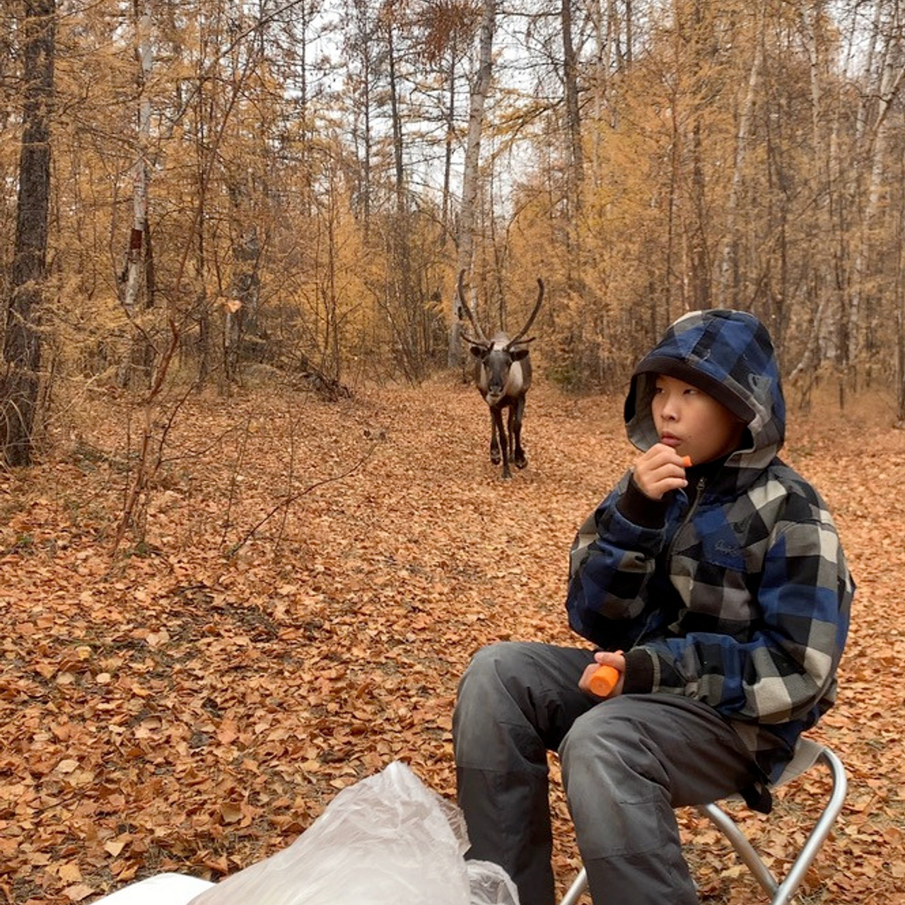 Отзывы. Саргылана Афанасьева