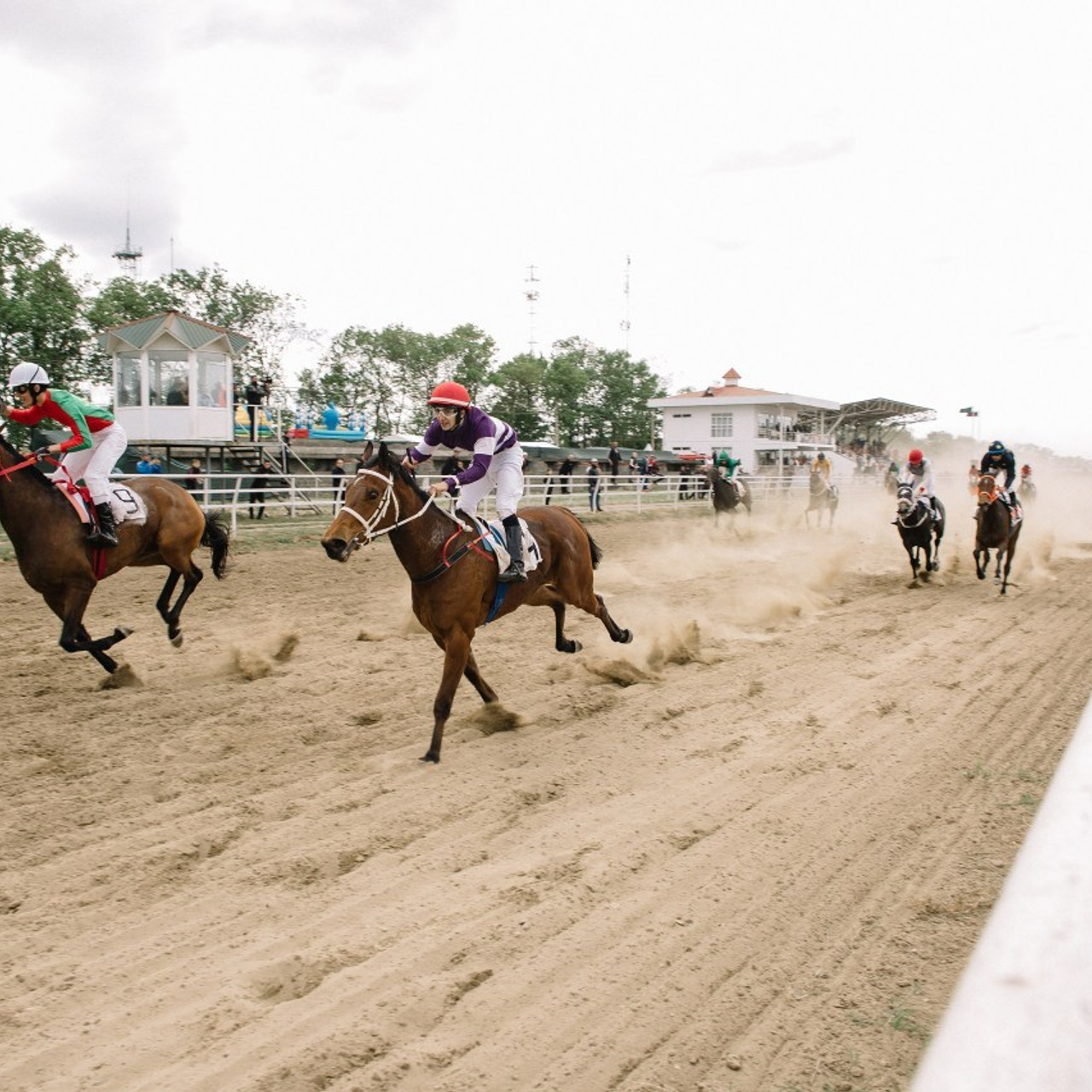 Отзывы на услуги фотографа в Майкопе. Семейный и свадебный фотограф в Майкопе Михаил Мартиросян