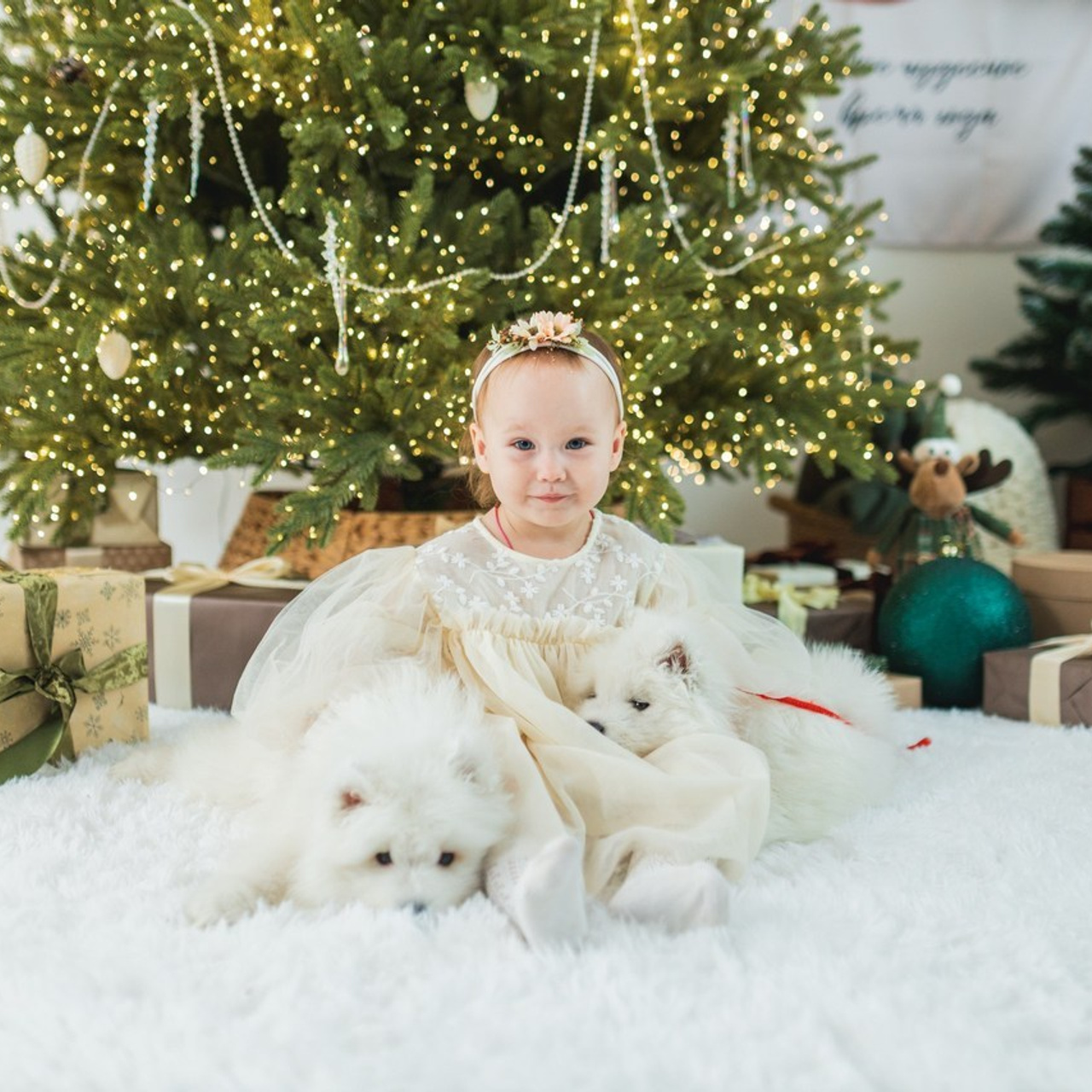 Отзывы. Детский Фотограф Анжелика Газиева