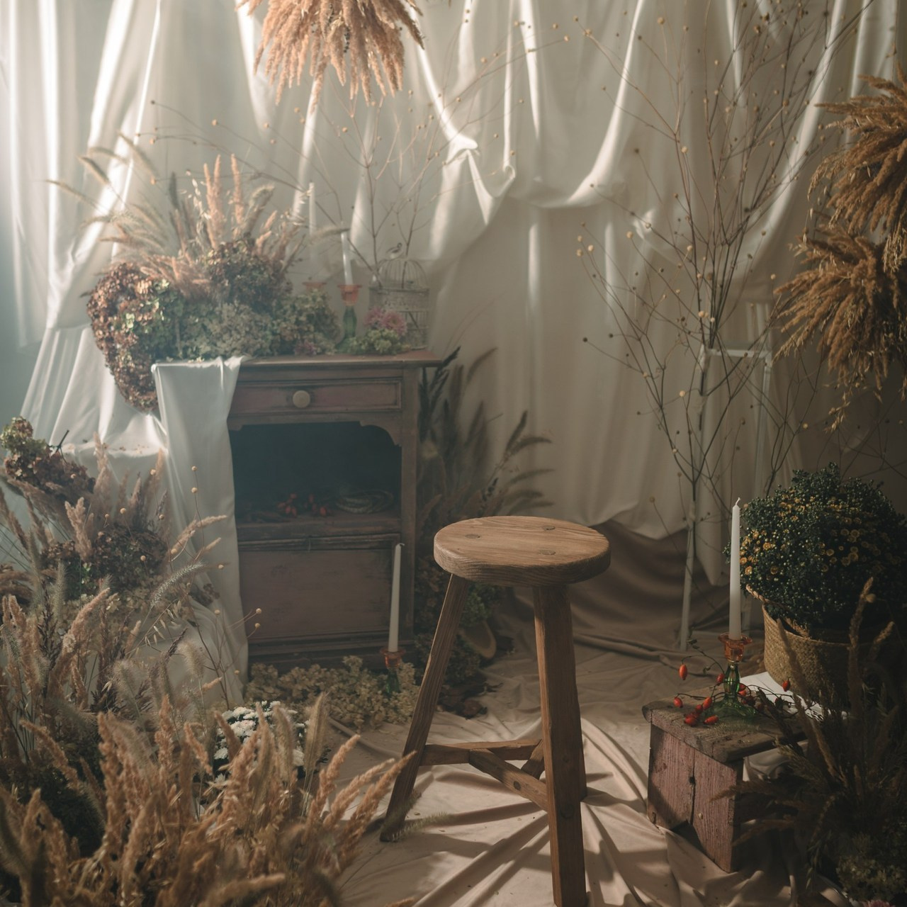 Отзывы. Детский Фотограф Анжелика Газиева