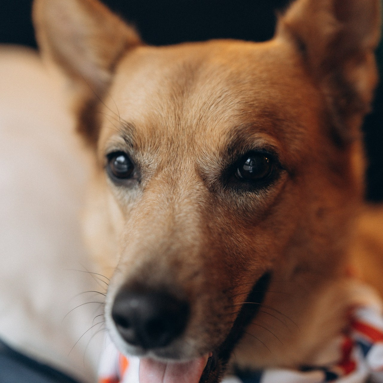 Отзывы. Елизавета Шумик Семейный Фотограф