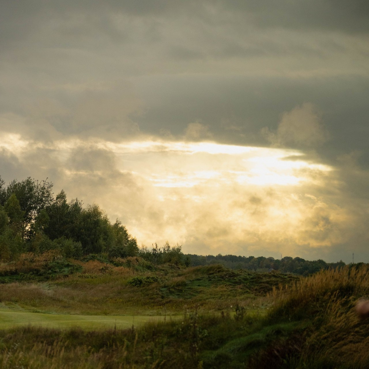 Отзывы. Фотограф на гольф-поле — профессиональная съемка в атмосфере элитного отдыха