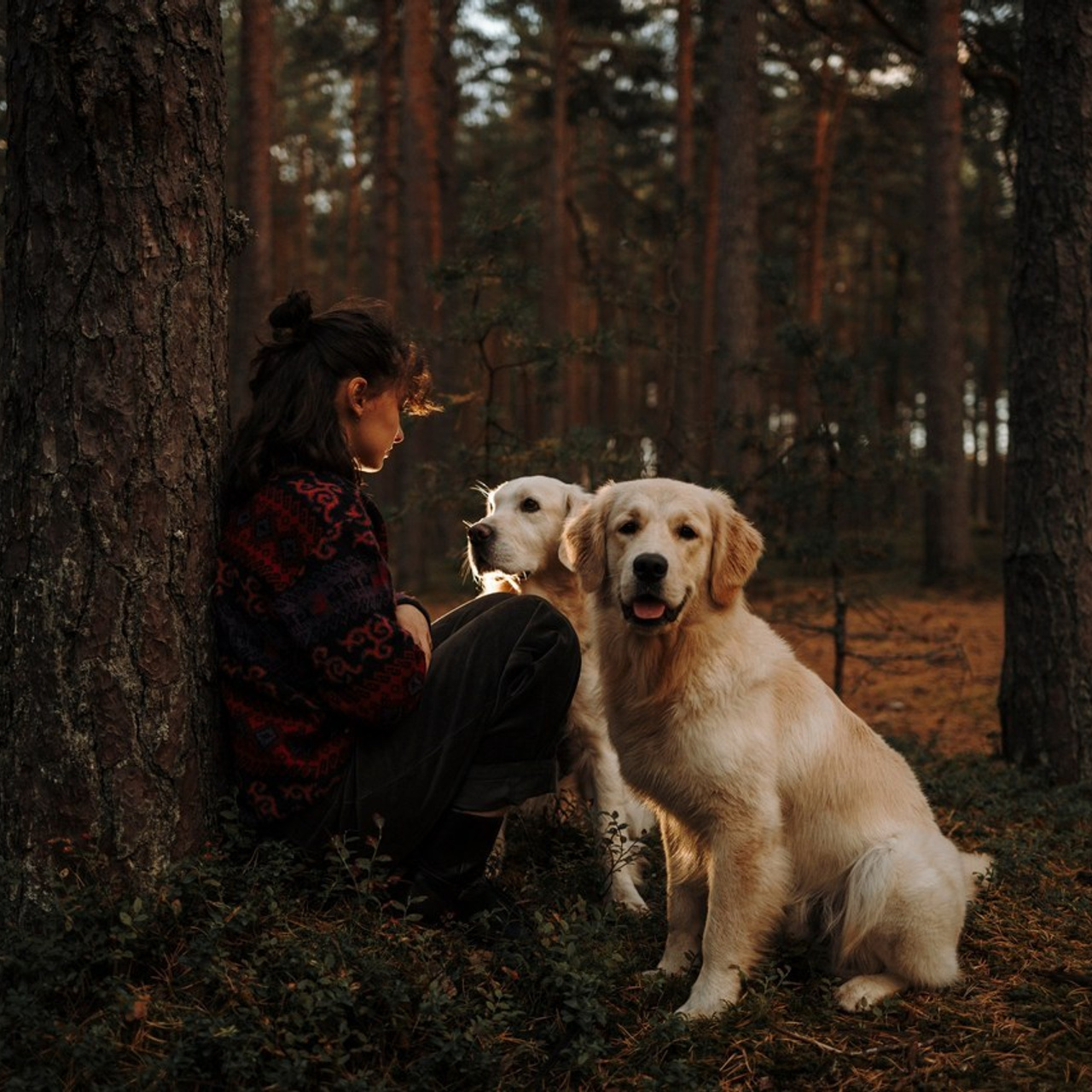 Отзывы. Фотограф-анималист в Санкт-Петеребурге Титова Алиса