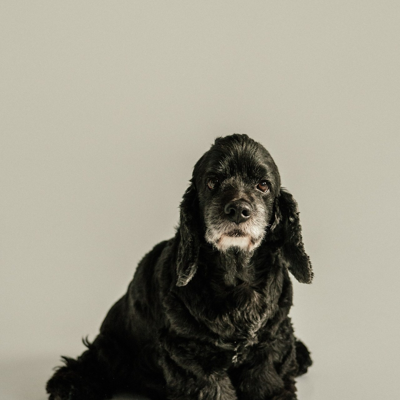 Отзывы. Свадебный и семейный фотограф в Белгороде