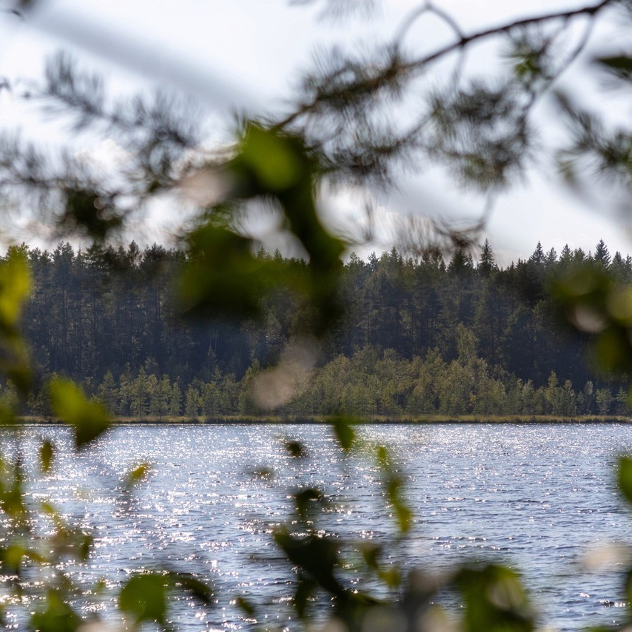 Отзывы. Свадебный и портретный фотограф в Санкт-Петербурге Анатолий Рыбенков