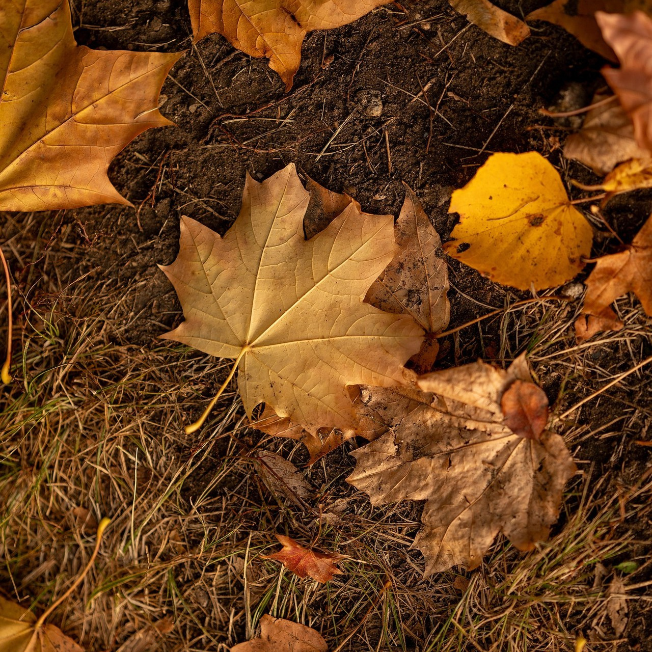 Отзывы. Фотограф в Омске Евгения Каргаполова