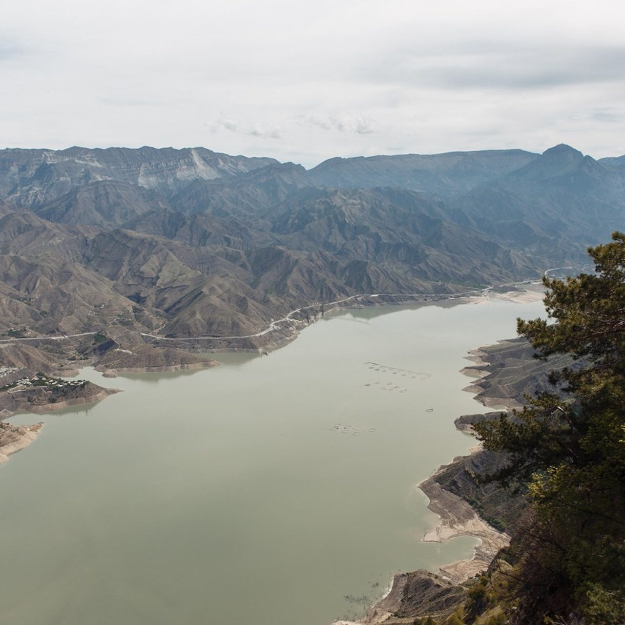 Отзывы. Фотограф Дмитрий Олейник в Волгодонске и Ростове