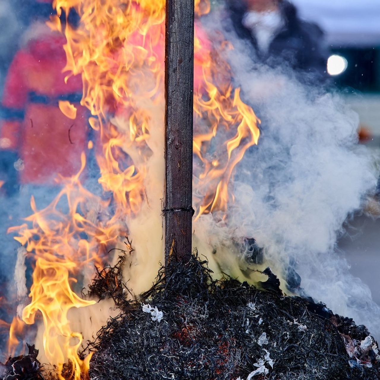 Отзывы о фотосъемке