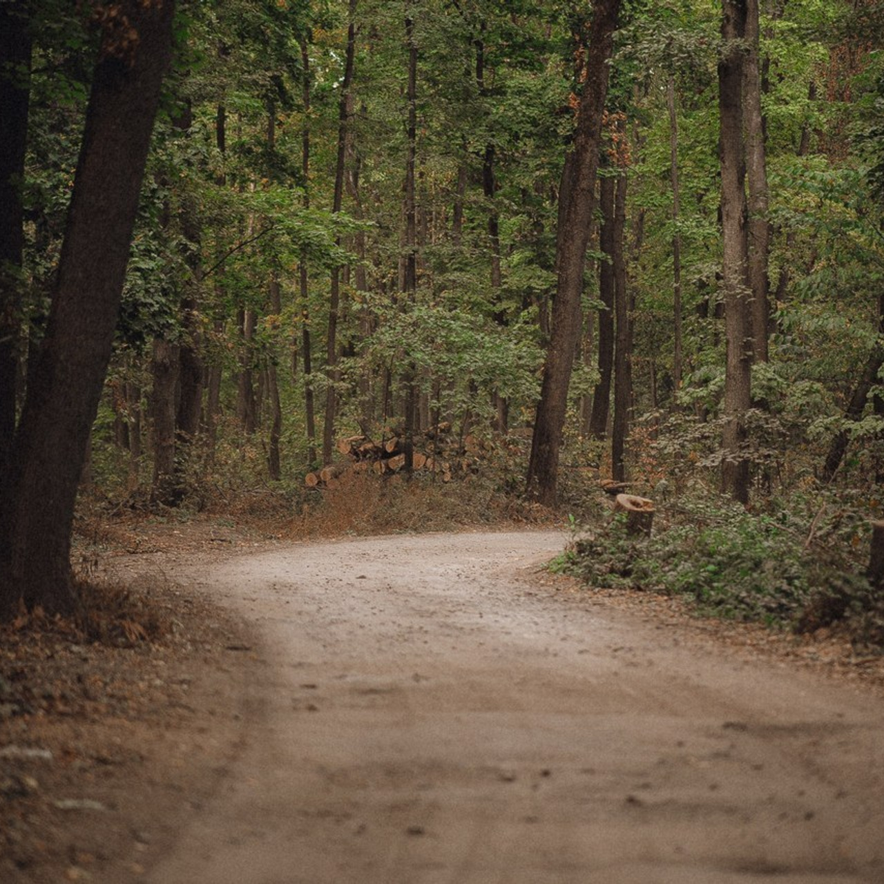 Отзывы. Фотограф Мария Зайчик